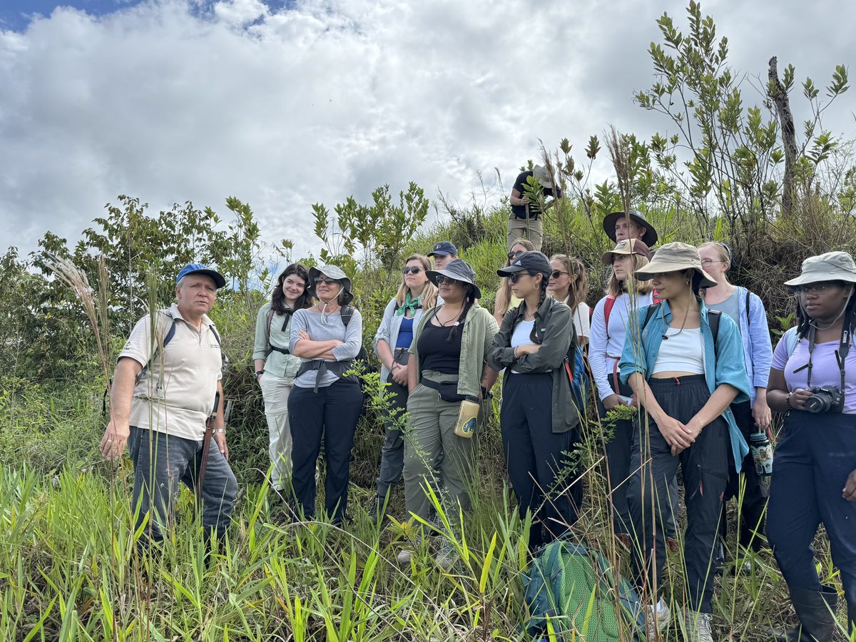 We begin our three-day investigation of succession in 🇨🇷 with a trip to nearby restoration plots where former pastureland is being reforested. Students measured environment & plant physiological responses—tomorrow, it’s on to a secondary forest, & Saturday a primary forest!