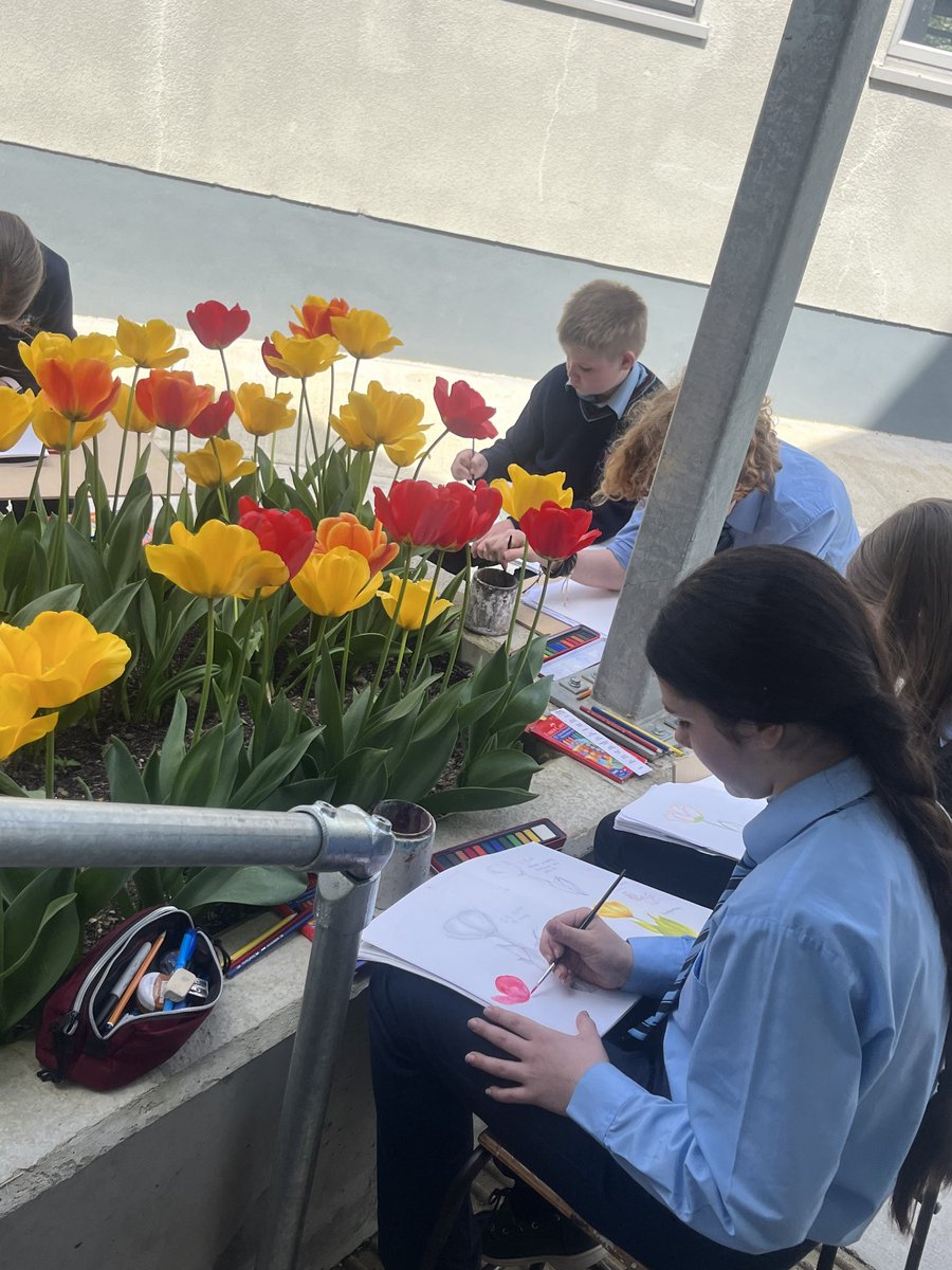 OLSSBlayney's tweet image. 1st yr art students using different techniques and media to draw the tulips the horticulture students planted outside the art room. #crosscurricular #olssart #jcvisualart #horticulture