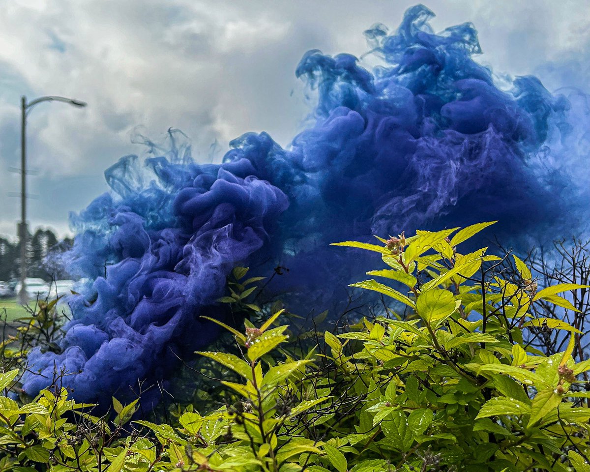 Artteach13's tweet photo. Last #chsart post for the 23-24 school year and itโs a good one!!! Smoke bomb pics are in! Enhoy! @Crestwood_HS https://t.co/eRhippXXeo