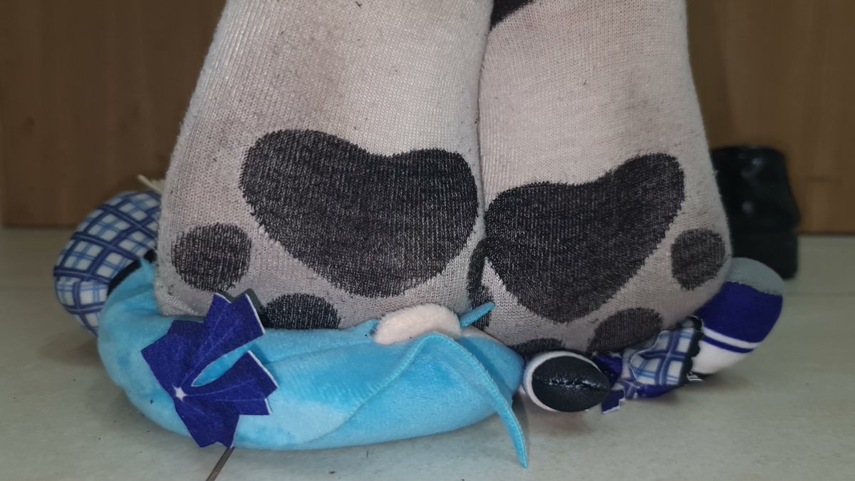 Is this the moment you have been dreaming of?
Getting abuse under my dirty striped paw socks...
*Socks Sold*
#dirtysocks #trample #踏みつけ #汚い靴下 #踩踏 #踩踏 #髒襪子