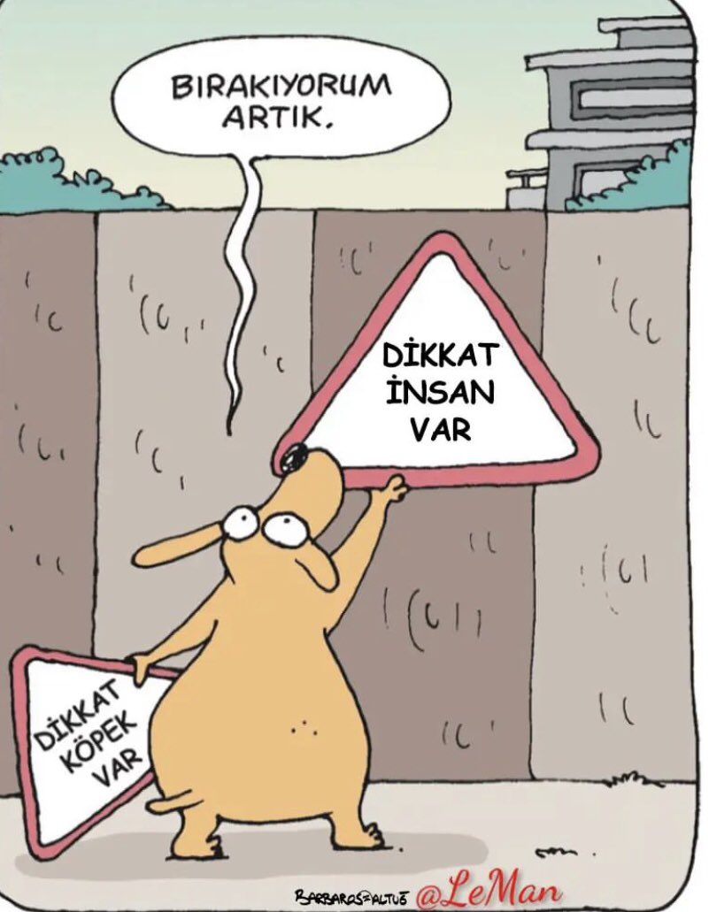 1deryz's tweet photo. #HayvanKatliamıİstemiyoruz https://t.co/wzrsytlrbp