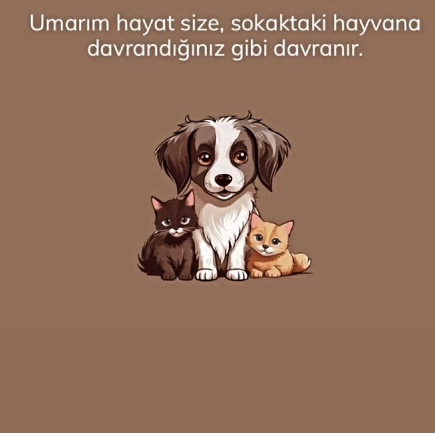 1deryz's tweet photo. #HayvanKatliamıİstemiyoruz https://t.co/wzrsytlrbp