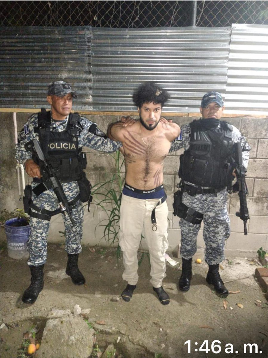 Agentes Azules 🇸🇻 tweet media