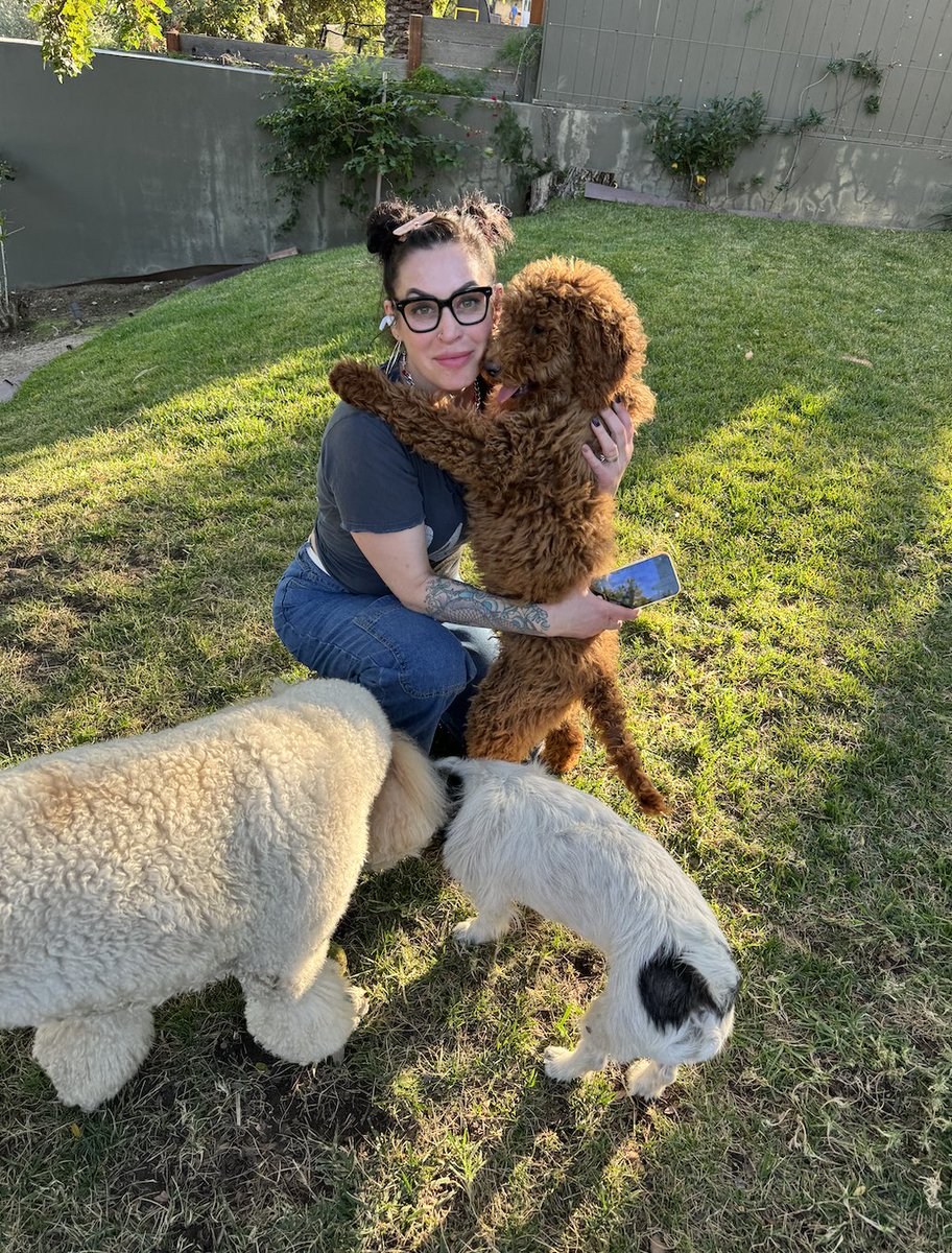 Writer's block. It gets me too. I take a breather with the dogs. They whisper the perfect sentence into my ear, and I'm back to work! 🐕 #authors #puppylove #dogs #poodles #investigativejournalist #writing #writingtips