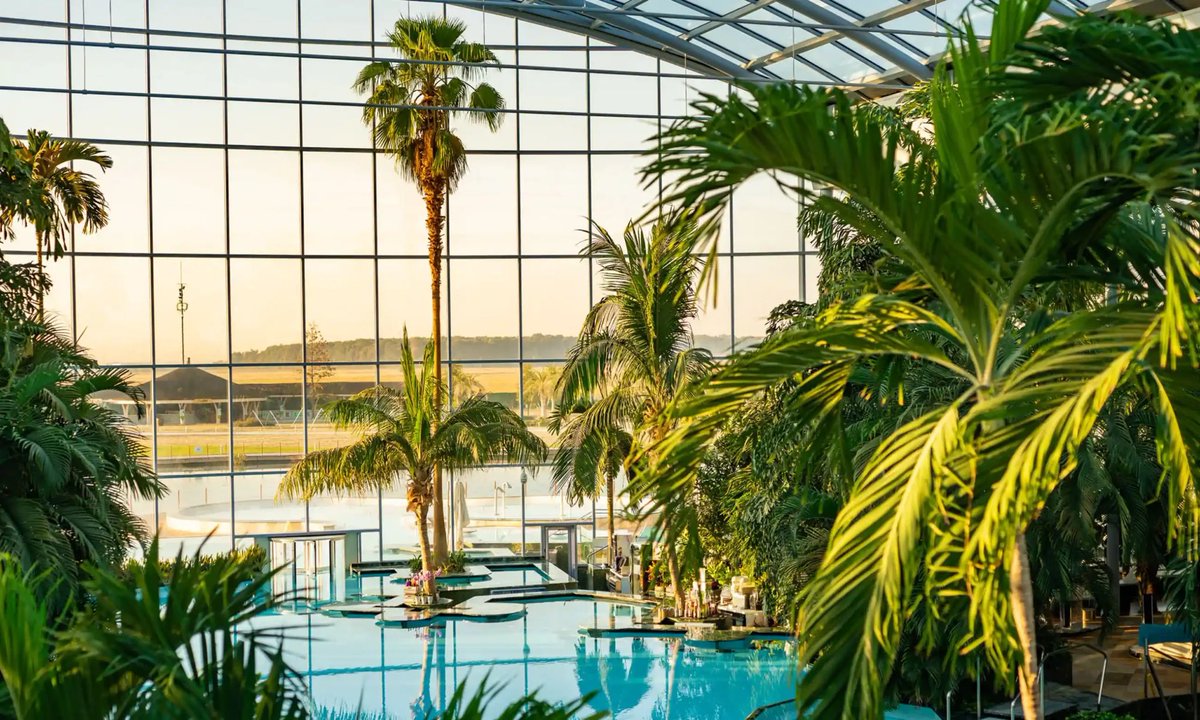 RochmanFlavia's tweet photo. Ready for some swimming pool time in Bucharest? 🤭
@AnechkaMD 
@drjfcrodrigues 
@apsmunro 
@FReichert667 
@jkopsidas 
@DaelemansSiel 
@RhedinSamuel 
#ESPID2025 https://t.co/AuAWdO12yh