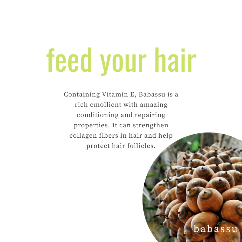 Weightless wonders for your mane! 🌰💫 Babassu Seed Extract moisturizes and conditions without the heavy feel. To learn more, click the link in our bio! #ekoehbrasil #feedyourhair #hairfoodcolorcream #hairfood #vegan #organic #crueltyfree #ecofriendly