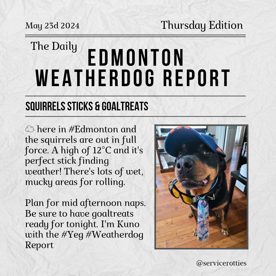 ☁️ here in #Edmonton and the squirrels are out in full force. A high of 12°C and it's perfect stick finding weather! There's lots of wet, mucky areas for rolling . Plan for mid afternoon naps. Be sure to have goaltreats ready for tonight. I'm Kuno with the #Yeg #Weatherdog Report