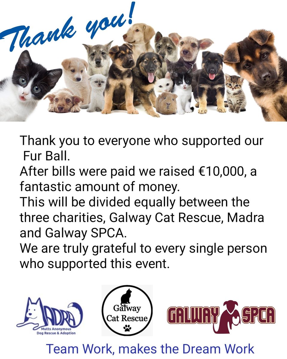 MADRADogRescue's tweet photo. 🎉 What an amazing outcome from Galway's first Fur Ball 🎉

It was a fantastic night of feasting, dancing &amp; fun!

Thank you so much to everyone who attended, and those who couldn't make it but liked &amp; shared the Fur Ball post 🙏💙

@GalwaySPCA
#AdoptDontShop #opt2adopt  #Galway https://t.co/TGe5eFP0i7