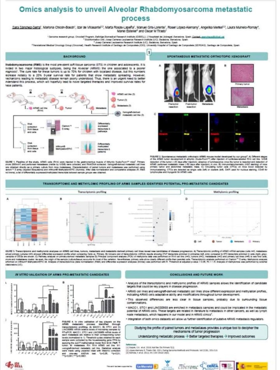 Os presentamos el poster que el Grupo de investigación de Sarcomas del <a href="/idibell_cat/">IDIBELL</a> presentó en el congreso internacional de la Asociación Española de Investigación sobre el Cáncer <a href="/ASEICAnews/">ASEICA</a> y en el que la APU es una de las entidades colaboradoras.