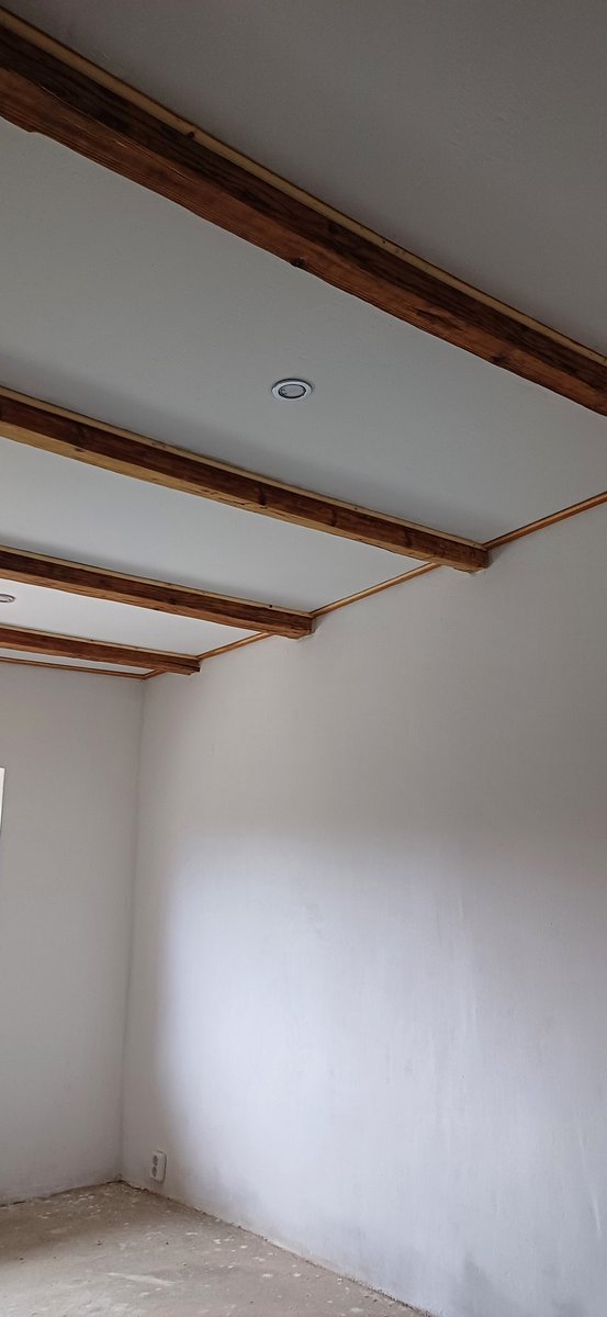 Jo estet allemaal 🥰
😊laatse foto van het plafond want deze is klaar.
Ramen en deurkozijn in de verf dus morgen eindelijk toe aan de vloer.Deze week veel bewolking ,onweer en regen , wel 26 graden.
Ze noemen de wildersal extreem rechts maar wat is orban dan?
Fijne avond en😴🥰🥰