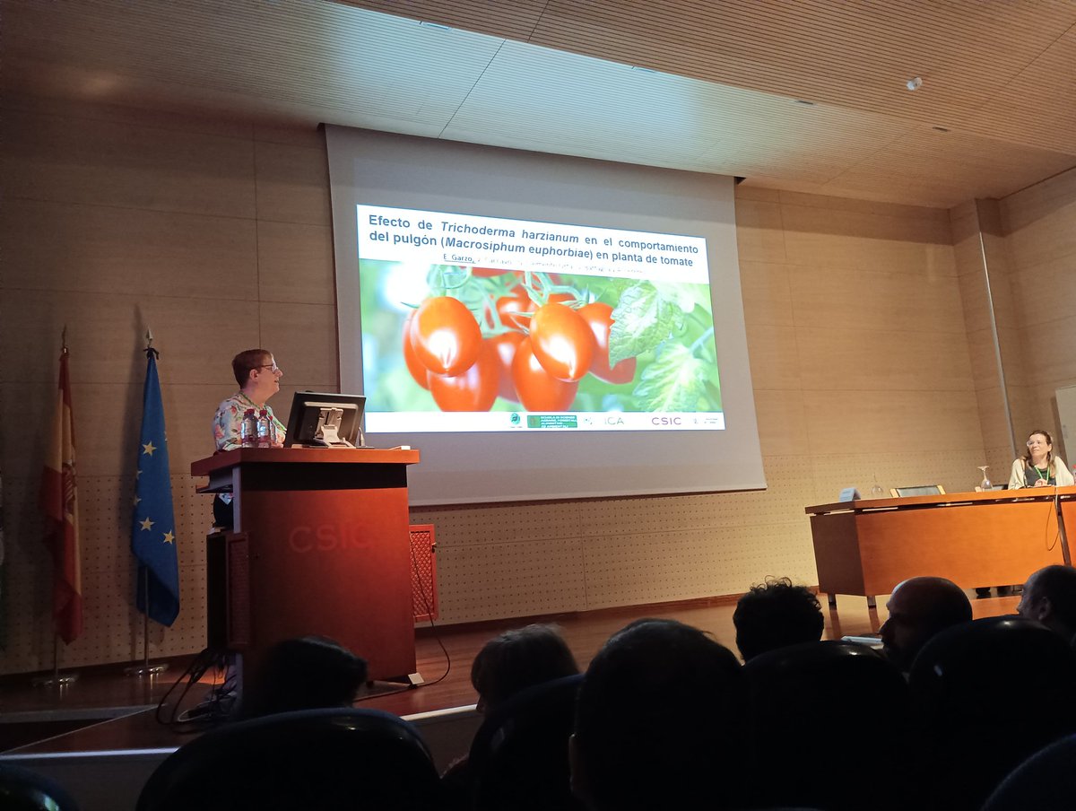 Primera reunión interacciones bioticas (@pbioticas) on Twitter photo Magnífica charla de Elisa Garzo <a href="/ElisaGarzo/">Elisa Garzo</a> sobre el efecto de Trichoderma harzianum en el comportamiento del pulgón en plantas de tomate 🍅 Magnífica charla de Elisa Garzo <a href="/ElisaGarzo/">Elisa Garzo</a> sobre el efecto de Trichoderma harzianum en el comportamiento del pulgón en plantas de tomate 🍅