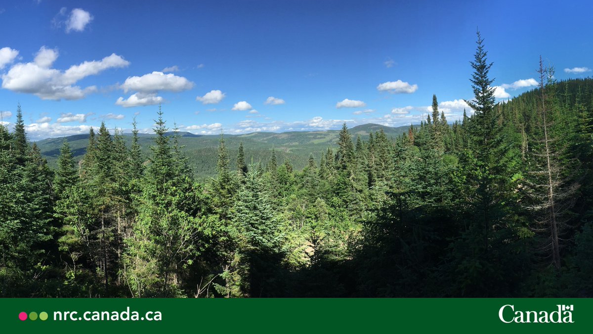 It’s 50 to 75%! @NRCan experts working through #GRDICanada are trying to determine which microbes in the soil favour carbon accumulation and how to ensure forestry methods can enhance or won’t detract from it. Read more: grdi.canada.ca/en/success-sto…