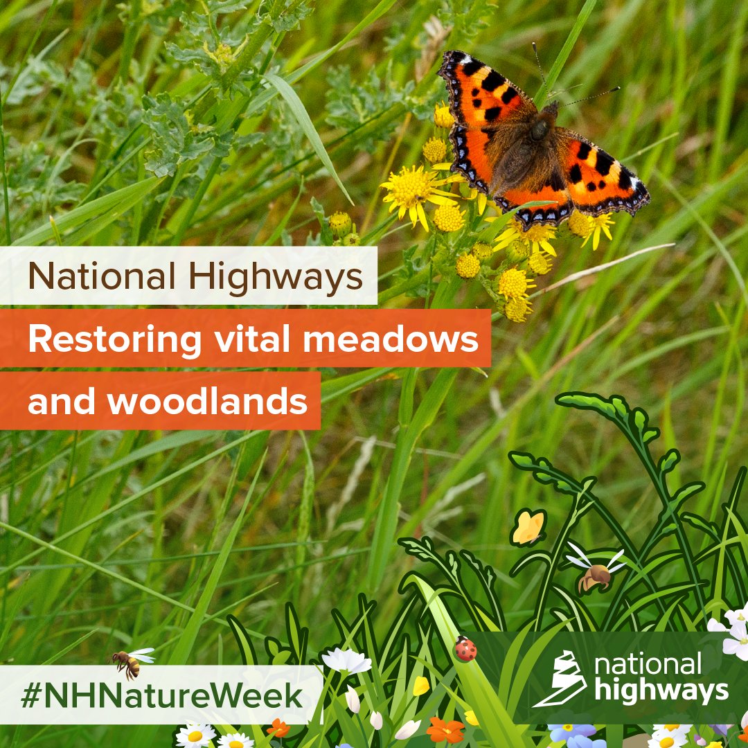 HighwaysSEAST's tweet photo. Did you know?...... In our South East region we care for 662 hectares of open grassland.  To find out more about our environmental work visit: https://t.co/fi2sfjmTW6  #NHNatureWeek https://t.co/lytmuU2kQk