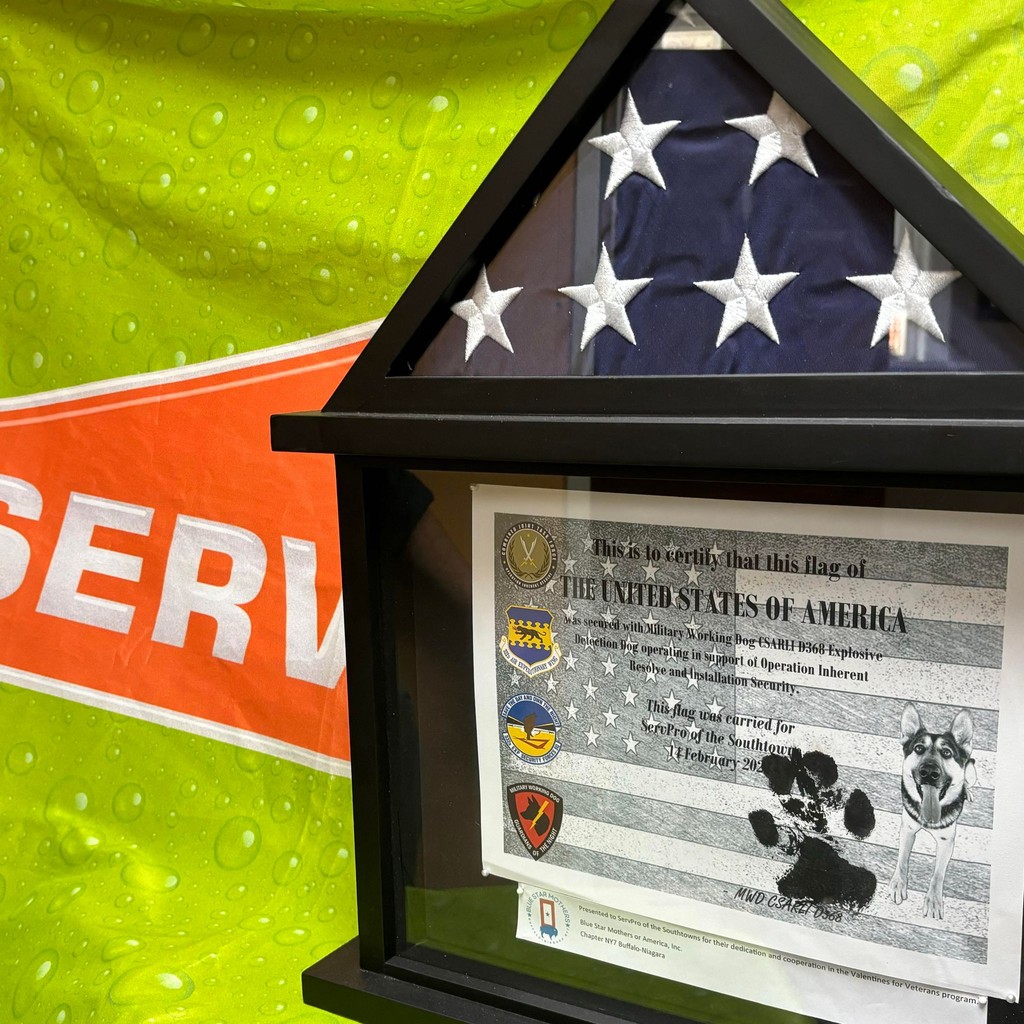 Thank you SO MUCH to Blue Star Mothers NY7 for the incredible gift! 

This flag was carried by the good boy you see pictured here, Military Working Dog CSARLI D368 Explosive Detection Dog, on Valentines Day 2024.