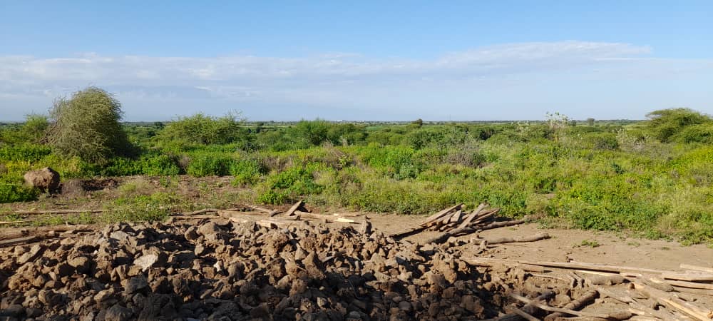 SaboreNgarus's tweet photo. Naomba leo Mtuambie ukweli kwenye hili swala la Kuchukua Ardhi ya #Wamasai Katika Maeneo ya Ngorongoro,Loliondo,Kia,na Maeneo mengine mengi je Huo ni Utekelezaji wa Ilani ya @ccm_tanzania au ni pendekezo la wahifadhi @SuluhuSamia @KassimMajaliwa_ @BungeT https://t.co/g5HqgMrCTj