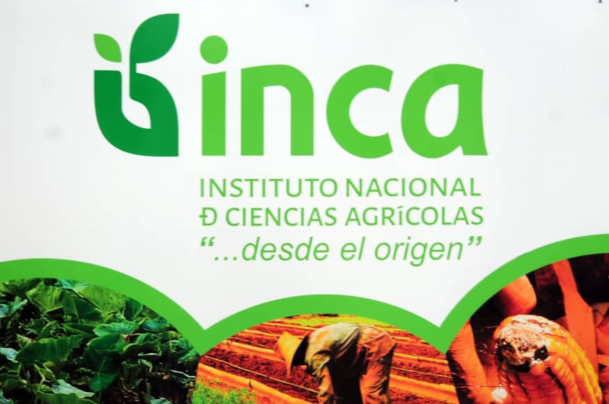 Como parte de la #VisitaGubernamental a Mayabeque, este jueves visitamos el Instituto Nacional de Ciencias Agrícolas (INCA) ubicado en el municipio de San José de las Lajas, fundado por iniciativa del Comandante en Jefe #Fidel el 29 de abril de 1970.
#GenteQueSuma