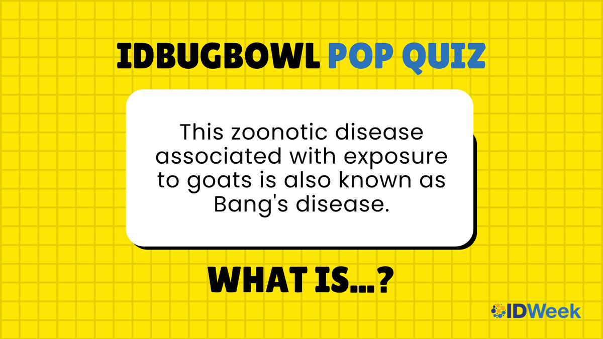 #IDBugBowl Pop Quiz #5! This zoonotic disease associated with exposure to goats is also known as Bang's disease. 🐐 Comment your answer below! Answer reveal tomorrow.
