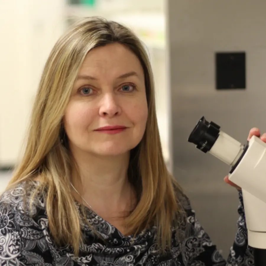 UofT CPIN (@cpin_uoft) on Twitter photo 📣 Join us for CPIN Distinguished Lecture | Thurs May 29 at 4PM
Dr. Gaynor Spencer: “Non-canonical effects of the Vitamin A metabolite, retinoic acid, in brain function”
📍 MSB 2172, 1 King's College Circle
For more info: uoft.me/avJ
<a href="/zpfeng1/">Zhong-Ping Feng</a> <a href="/physiologyuoft/">U of T Physiology</a> 📣 Join us for CPIN Distinguished Lecture | Thurs May 29 at 4PM
Dr. Gaynor Spencer: “Non-canonical effects of the Vitamin A metabolite, retinoic acid, in brain function”
📍 MSB 2172, 1 King's College Circle
For more info: uoft.me/avJ
<a href="/zpfeng1/">Zhong-Ping Feng</a> <a href="/physiologyuoft/">U of T Physiology</a>