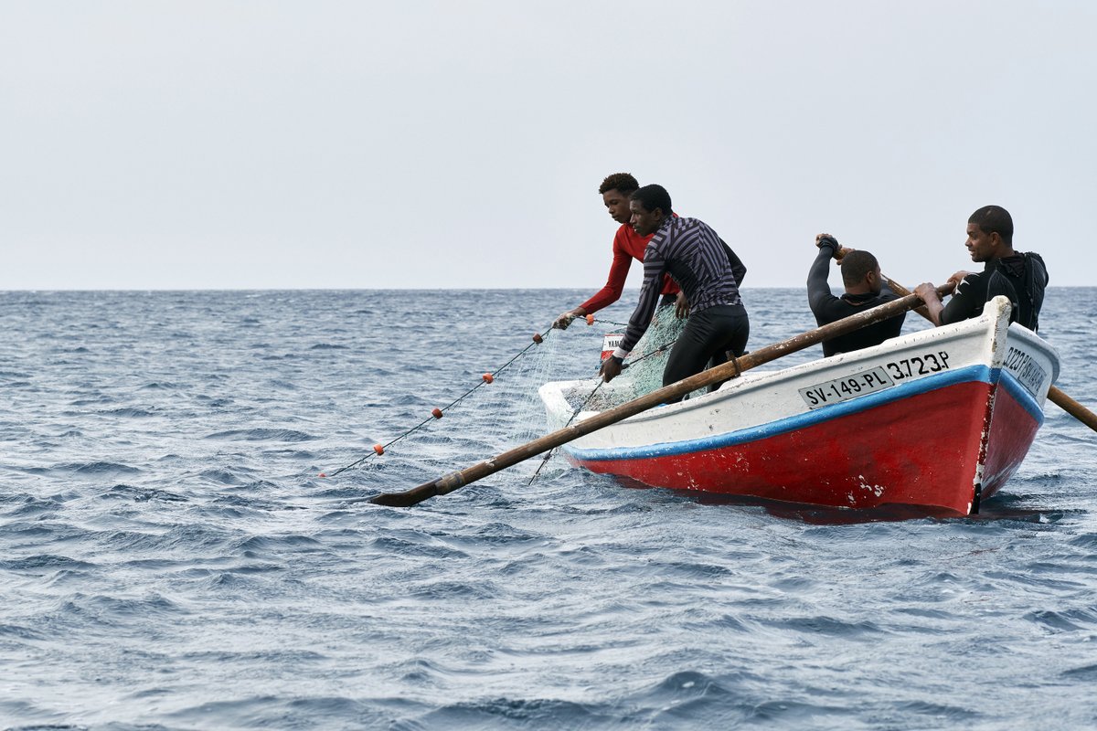 🎣 Coastal Fisheries Initiative – West Africa - 
Closing Workshop 🇨🇻 🇨🇮 🇸🇳

🗓️May 22-26

📍 Côte d'Ivoire 🇨🇮

+40 attendees

Promoting the exchange of best practices in artisanal fisheries management 🐟

#CFIgef

#sustainablefisheries #smallScaleFisheries