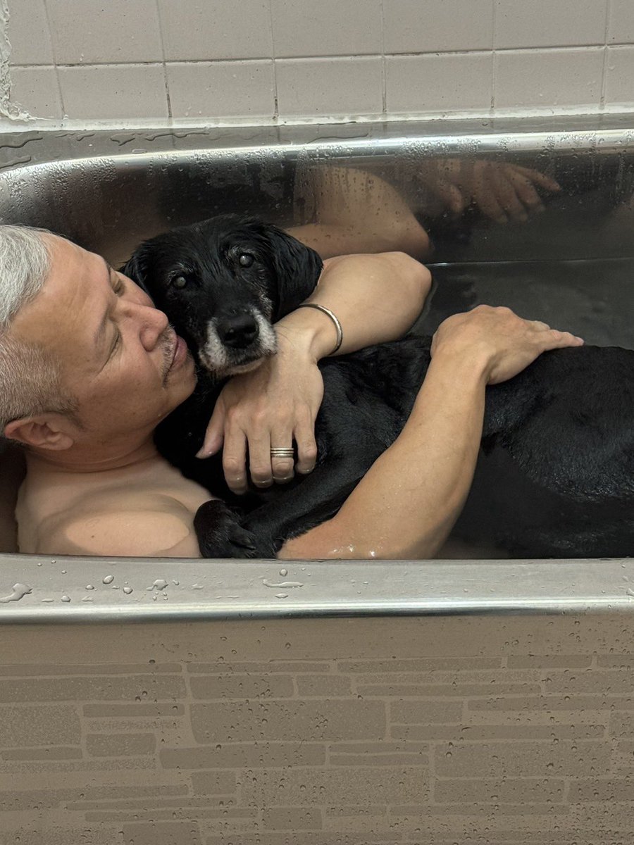 O5MiV9vYshcX4ry's tweet photo. お風呂って
#秘密結社老犬倶楽部 #ラブラドールレトリバー #黒ラブ #老犬 #愛犬 #入浴
こんなに気持ちいいんだ🥰 https://t.co/kZSGak8RE1