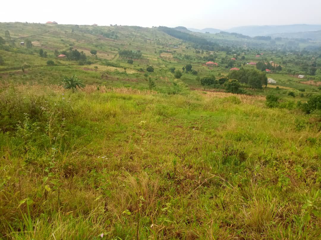 PLOTS ON SALE
#PraisePropertyConsultsUganda
In Mukono_Mbalala,Jinja road.

All plots have ready land titles

Electricity & water are at site. 

Each 50*100ft at UGX 11.5m

We accept part payments 

Call/WhatsApp @mugabi_praise
0706147006/0783821918

Find