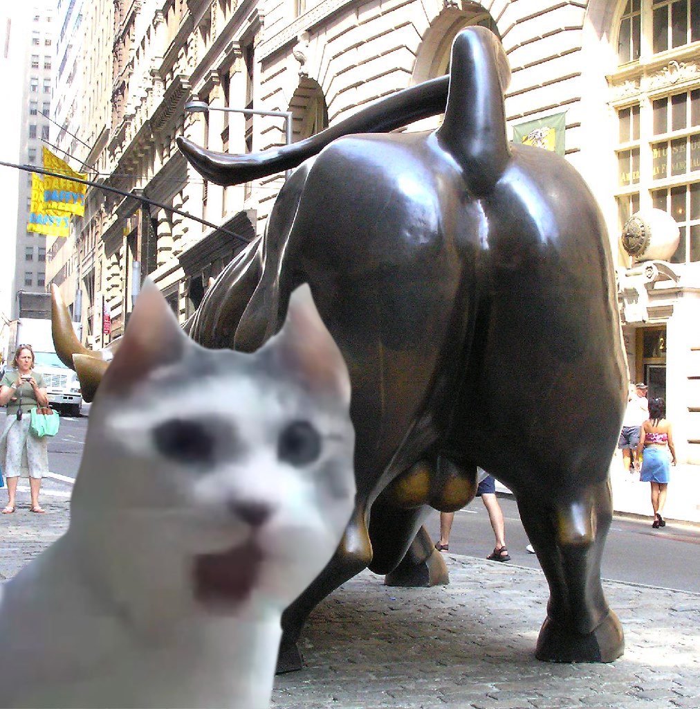 Jeets out cats in get bullish $OMGCAT