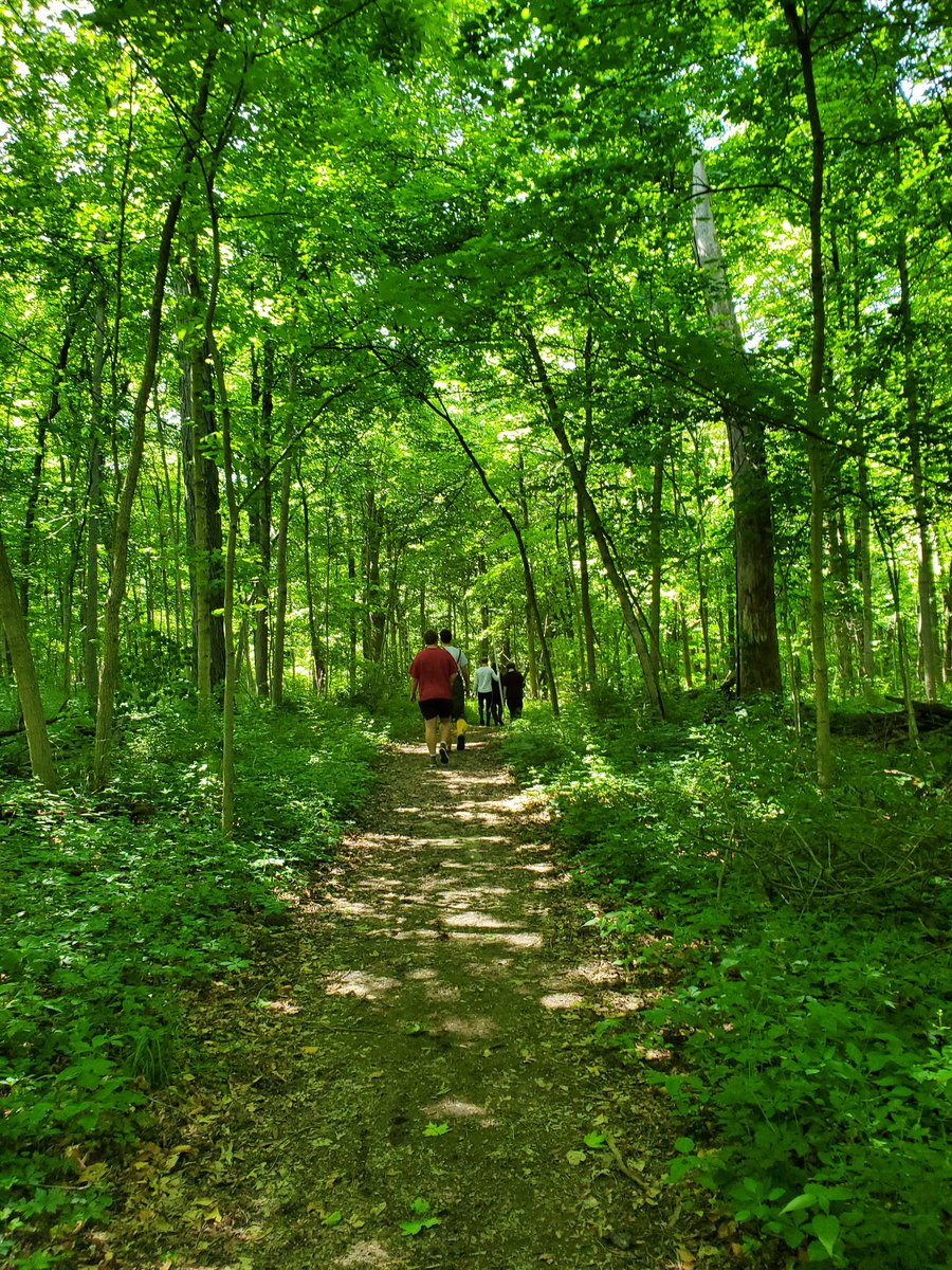 One last outdoor scavenger hunt with #Environmentalscience students today! 🌱
<a href="/VoelzJames/">New Palestine High School</a> @sci