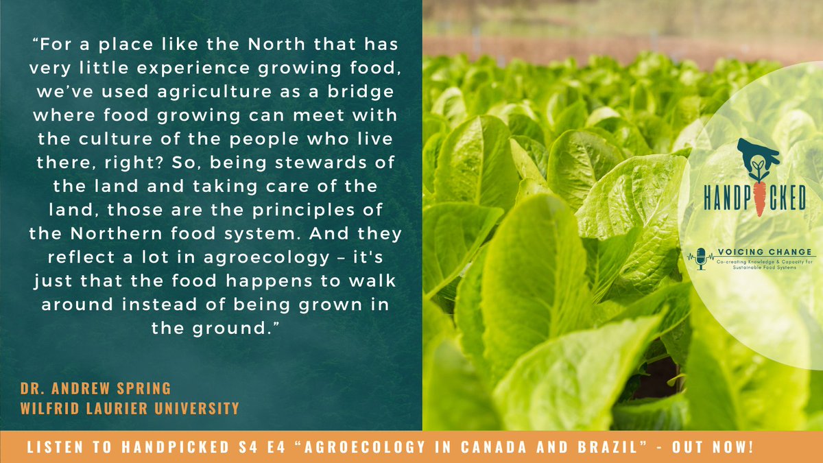 Handpicked Podcast (@handpickedpodc) on Twitter photo Another great quote from episode 4! <a href="/andrewjspring/">Andrew Spring</a> of the <a href="/LCSFSresearch/">The Laurier Centre for Sustainable Food Systems</a> discusses how Northern communities might adapt the concepts of #agroecology to fit their unique cultural practices
Listen 🎧 here!! : tinyurl.com/59d9rnyn Another great quote from episode 4! <a href="/andrewjspring/">Andrew Spring</a> of the <a href="/LCSFSresearch/">The Laurier Centre for Sustainable Food Systems</a> discusses how Northern communities might adapt the concepts of #agroecology to fit their unique cultural practices
Listen 🎧 here!! : tinyurl.com/59d9rnyn
