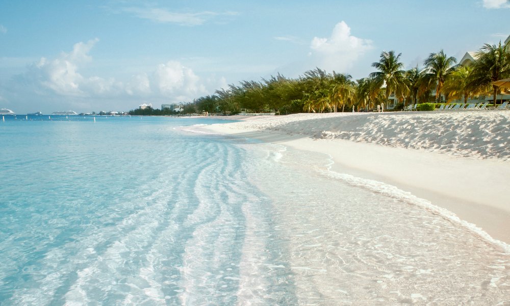 CI Chamber of Commerce tweet media