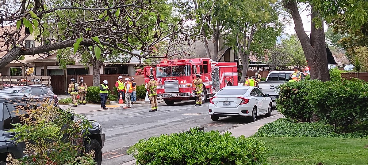 Jesus this is nerve-wracking!  My bush in the foreground. My car is across the street, trapped in by two big firetrucks (not seen in this photo). Police have the street blocked both ways.  Piping workers are consulting with @SDFD 1st responders. No evac yet tho it is gas leak!