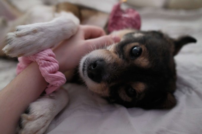 🥺❤️ https://t.co/SQHayhEgwR