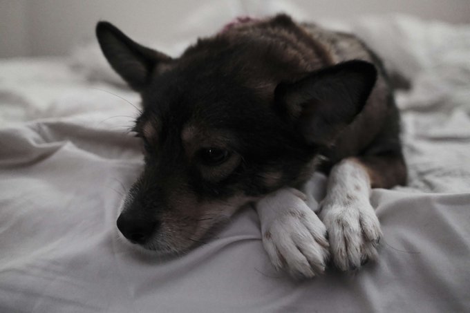 🥺❤️ https://t.co/SQHayhEgwR