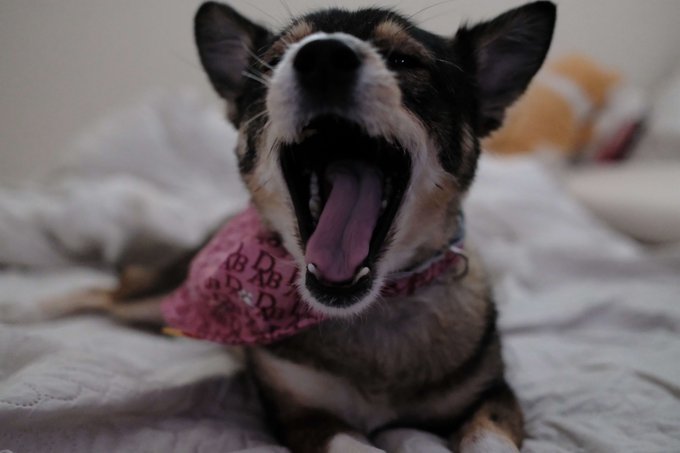 🥺❤️ https://t.co/SQHayhEgwR