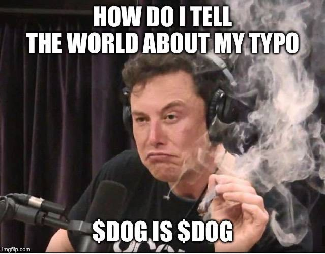 CryptoCMXX's tweet photo. @dog_erc @eth_ben DOG IS DOG IYKYK https://t.co/Lr7D0lARuJ