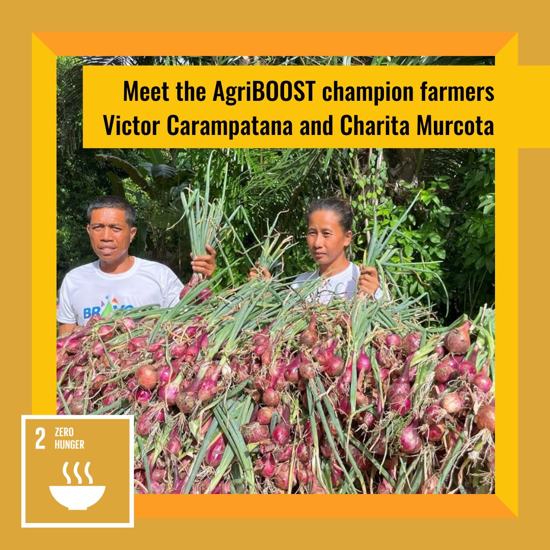 ➡ Meet Victor Carampatana and Charita Murcota who have started seed sowing and are increasing local vegetable supply. That’s the first time in the whole region that bulb onions this big were harvested in this quantity! Visit sdglocalaction.org to learn more! #Act4SDGs