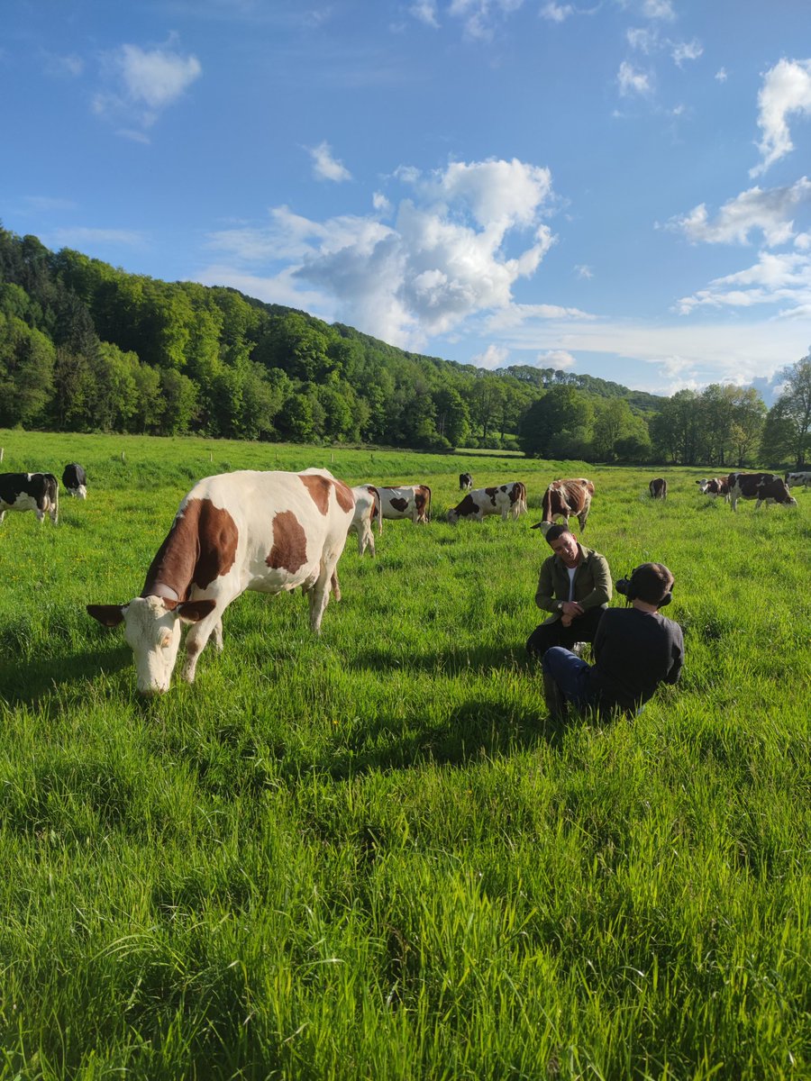 MrDimitriG's tweet photo. De retour dans les champs pour raconter les belles histoires entre producteurs locaux et les centres https://t.co/bEt84EaTqJ.

Aujourd'hui c'est avec la Ferme Navarro, producteur de #Cantal fermier en #AlliancesLocales avec le magasin d'Aurillac. https://t.co/Plxhim36ax