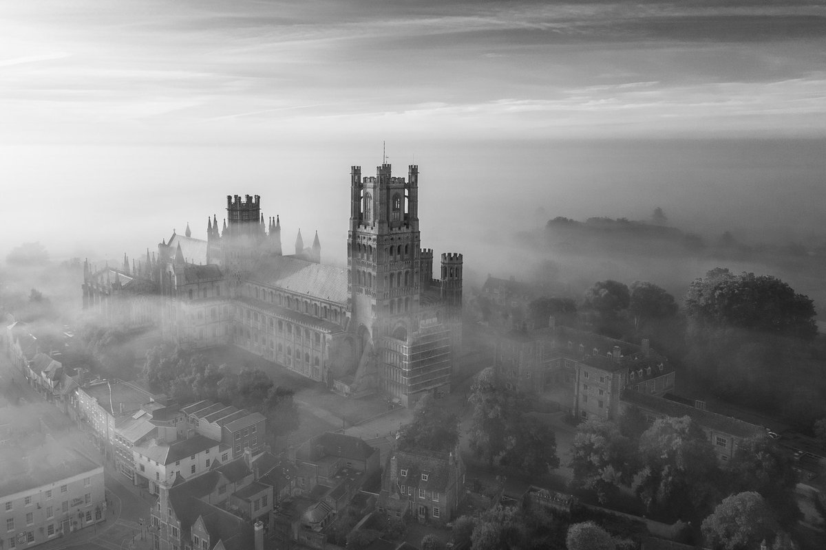 1st Bearded Tit feeding by John Hunting 2nd Vanishing Point by @HoughtonViv 3rd Atmospheric mist around Ely Cathedral by @glynpierson Our Members Choice competition winners yesterday @Ely_Cathedral #monochrone #birding #naturephotographer #trees #blackandwhitephotograph