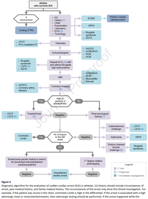 cardioteca's tweet photo. 🆕 2024 Consenso de expertos sobre arritmias en el atleta: Evaluación, tratamiento y vuelta al juego.

📕 Heart Rhythm
🔓 https://t.co/Nr8IgD6De5 https://t.co/gUKVZEJBrZ