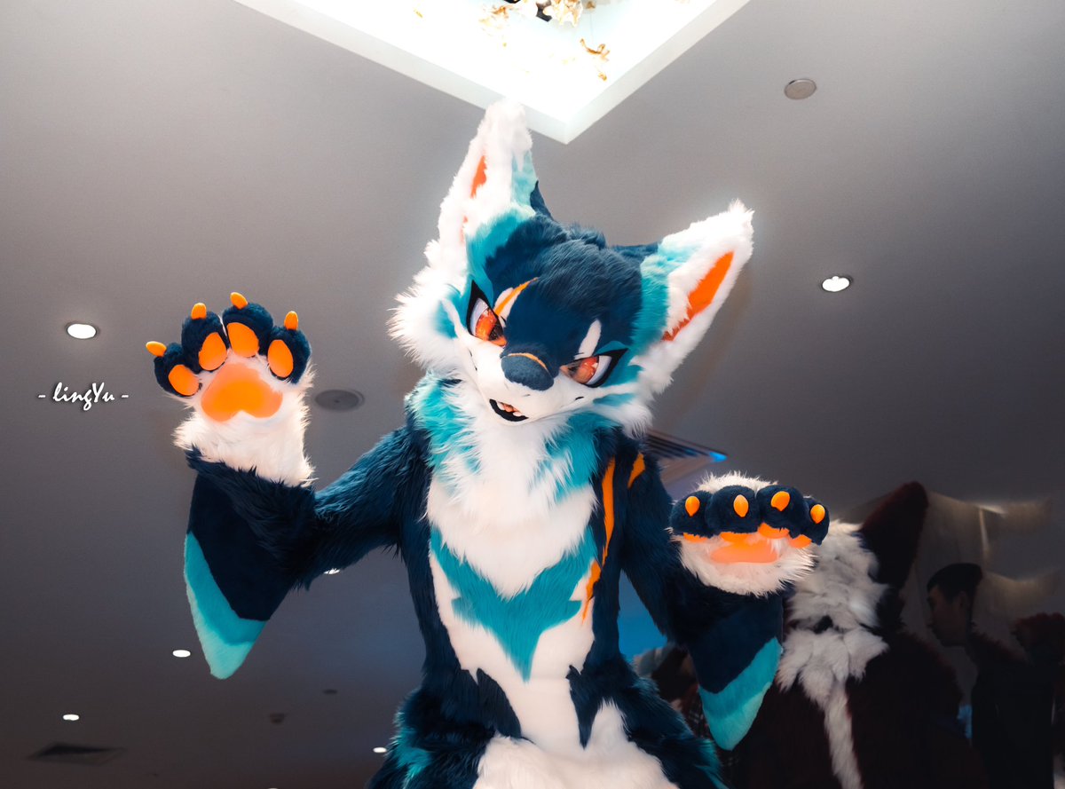 天使🦈
📸：零羽
 #FursuitFriday