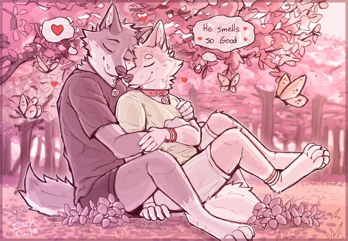 AnthroWolfie's tweet image. Sweet boyfriend moments full of love ♥️😍🥰

🎨 Art by @_Owl_Black_