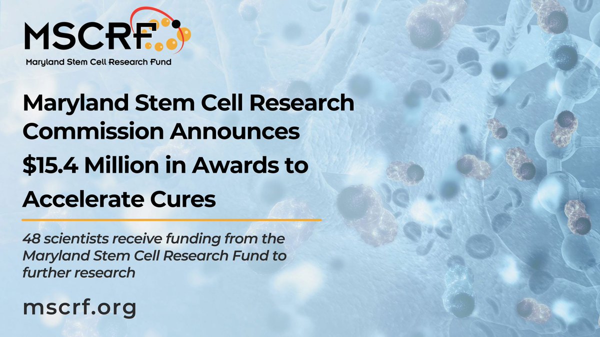 meier_raphael's tweet photo. Humbled and deeply grateful to the @MD_Stem_Cell for awarding our lab a Discovery Grant to further develop the transplantation of genetically engineered Mesenchymal Stem Cells and Islets for the Treatment of Type-1 Diabetes #StemCellResearch #Diabetes  https://t.co/afvJo86kBT https://t.co/lTjn1g2fr4