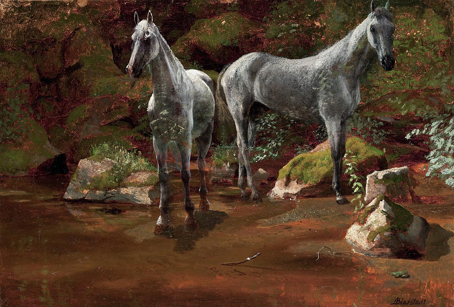 Study of Wild Horses by Albert Bierstadt, by 1902.
#horses