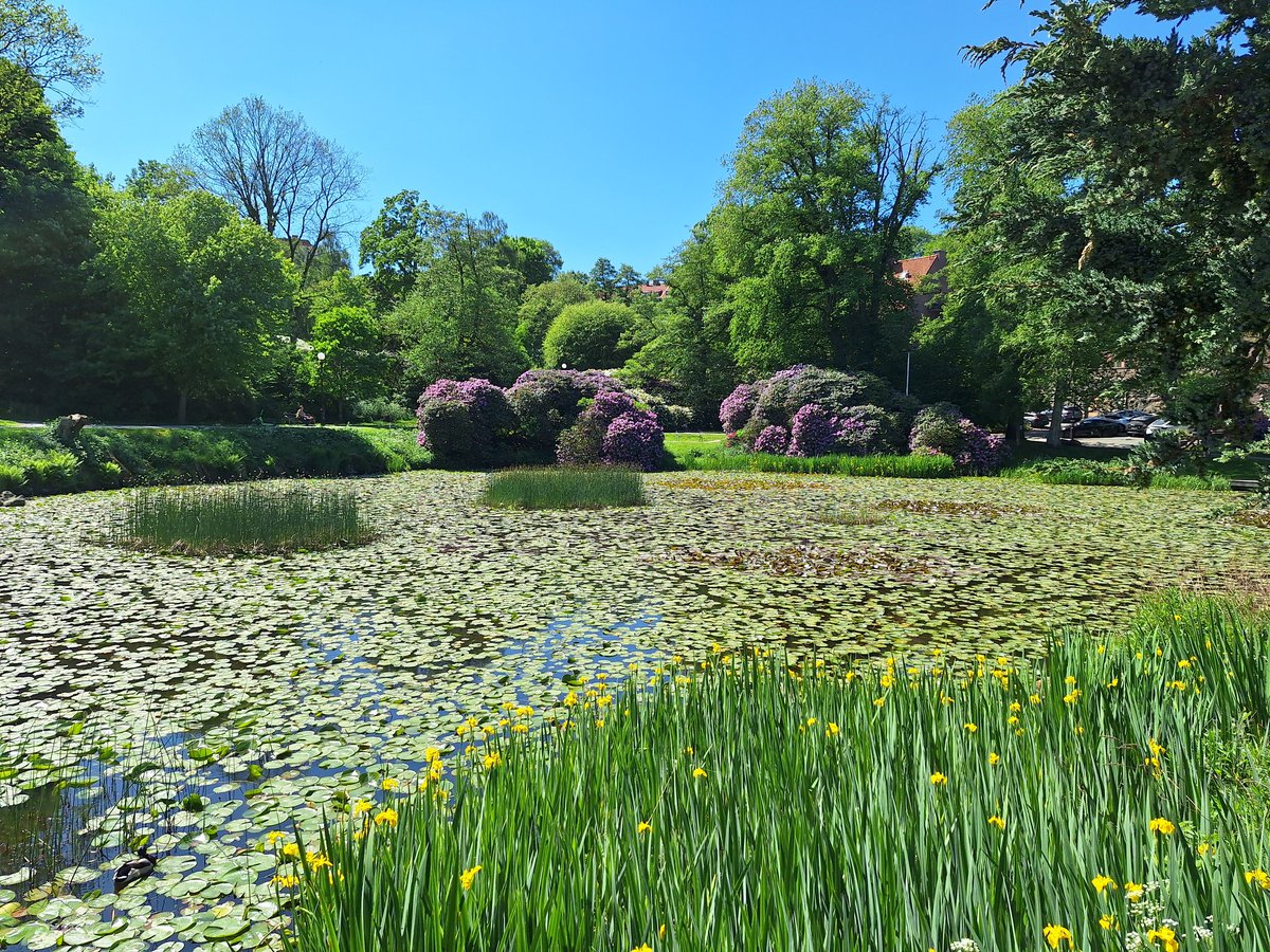 A wonderful week in a stunningly sunny Gothenburg for the Biomarkers in Neurodegenerative Diseases Course - thank you @_michael_scholl @tautangles @aitanasogorb for organising, all other speakers for such informative talks and the students for the engaging discussions!