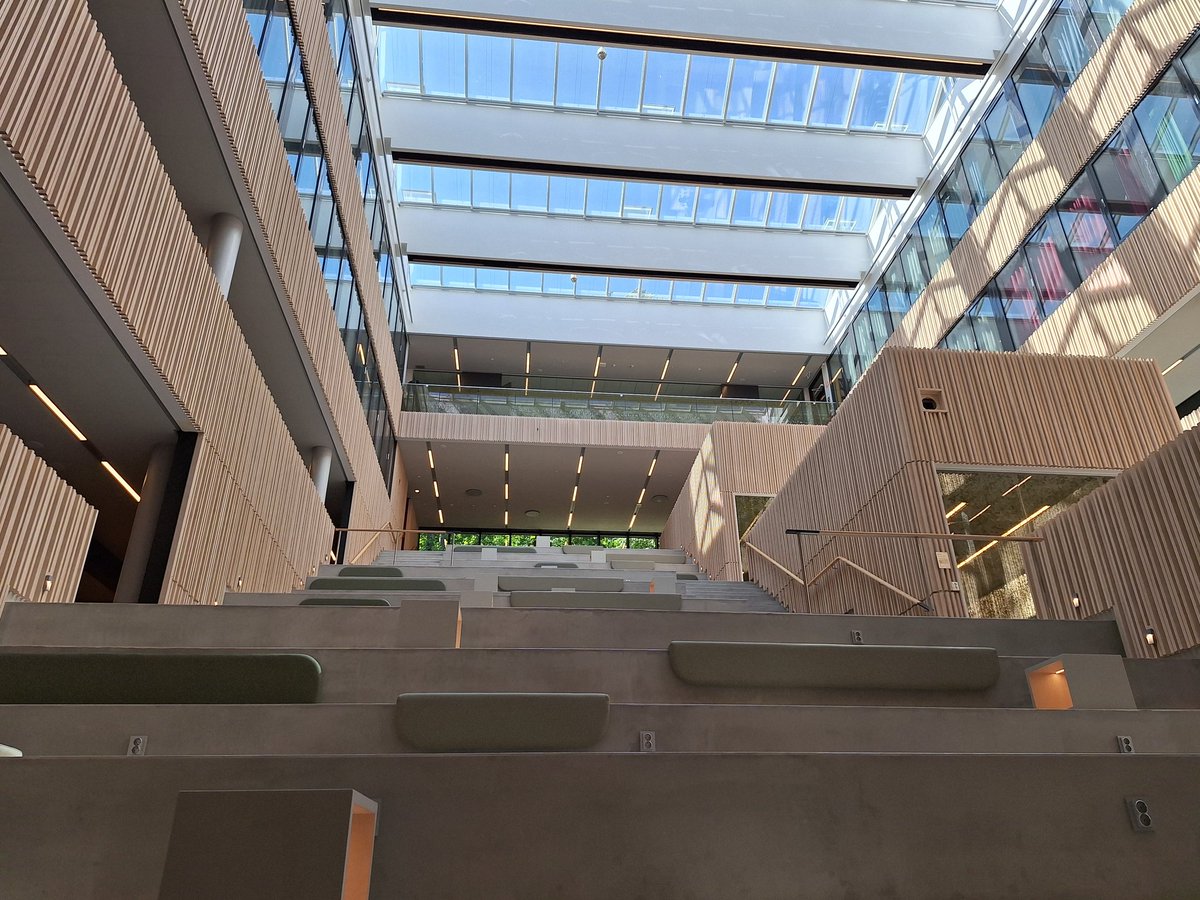 Maura Malpetti tweet media