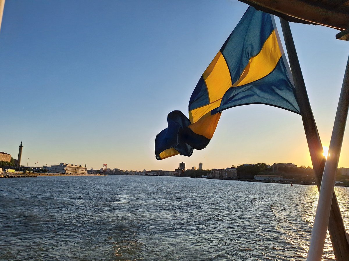 Maura Malpetti tweet media