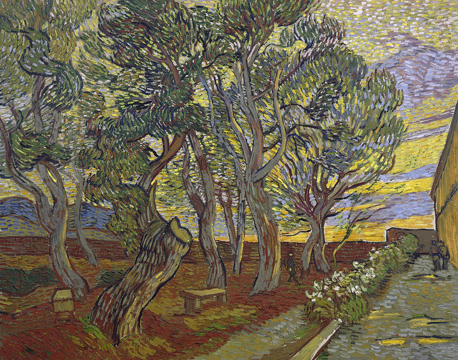The Garden of Saint Paul's Hospital by Vincent van Gogh, 1889.
#vangogh #gardens #trees