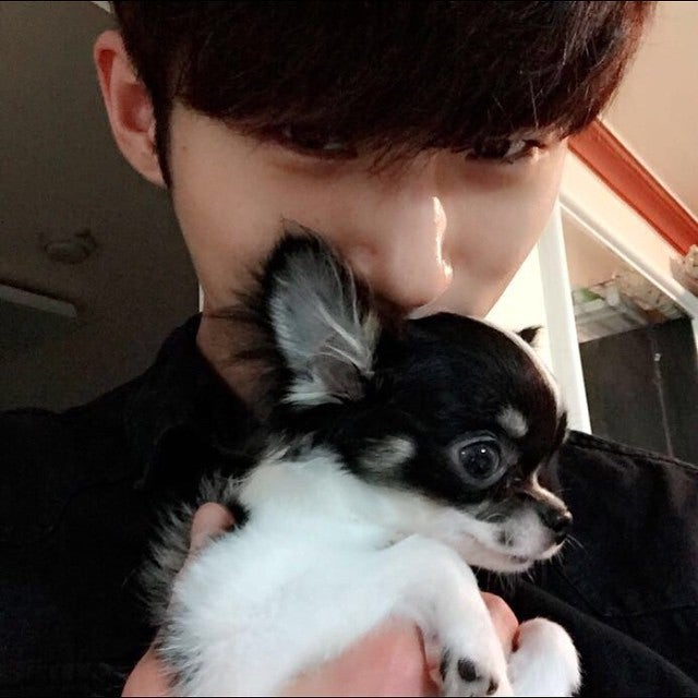 qusntjrl's tweet image. 변우석이 삭제한 인스타 앤나 태그된 사진 모음,,, 

-피드에있을수도잇음,잘못봣을수잇음,나만애초면일수도잇슴