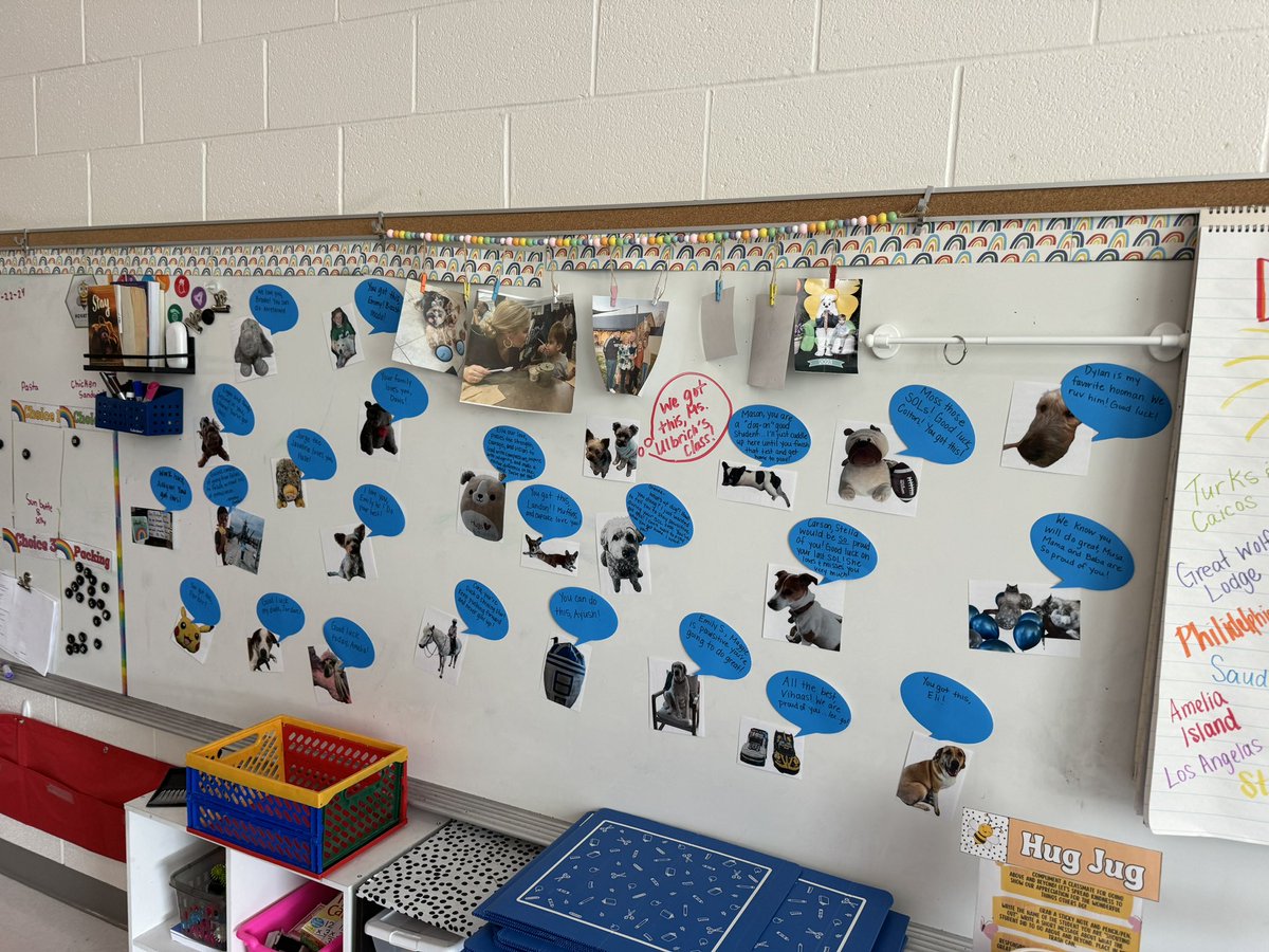 Ali Ulbrich tweet media