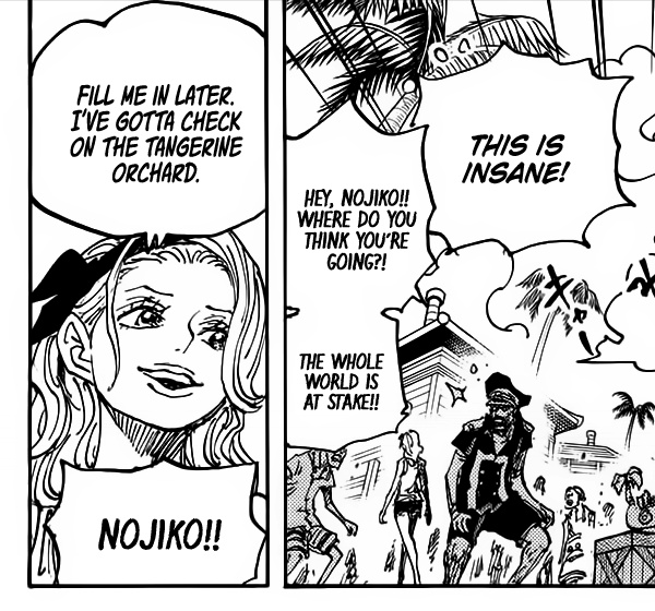 I don't know what to make of this reaction from Nojiko
🤔She knows what Nami's dream is and this is related to that in a way so maybe that's what it is about 
If i had to interpret it she trusts her sister to know how to deal with it?
#ONEPIECE1115