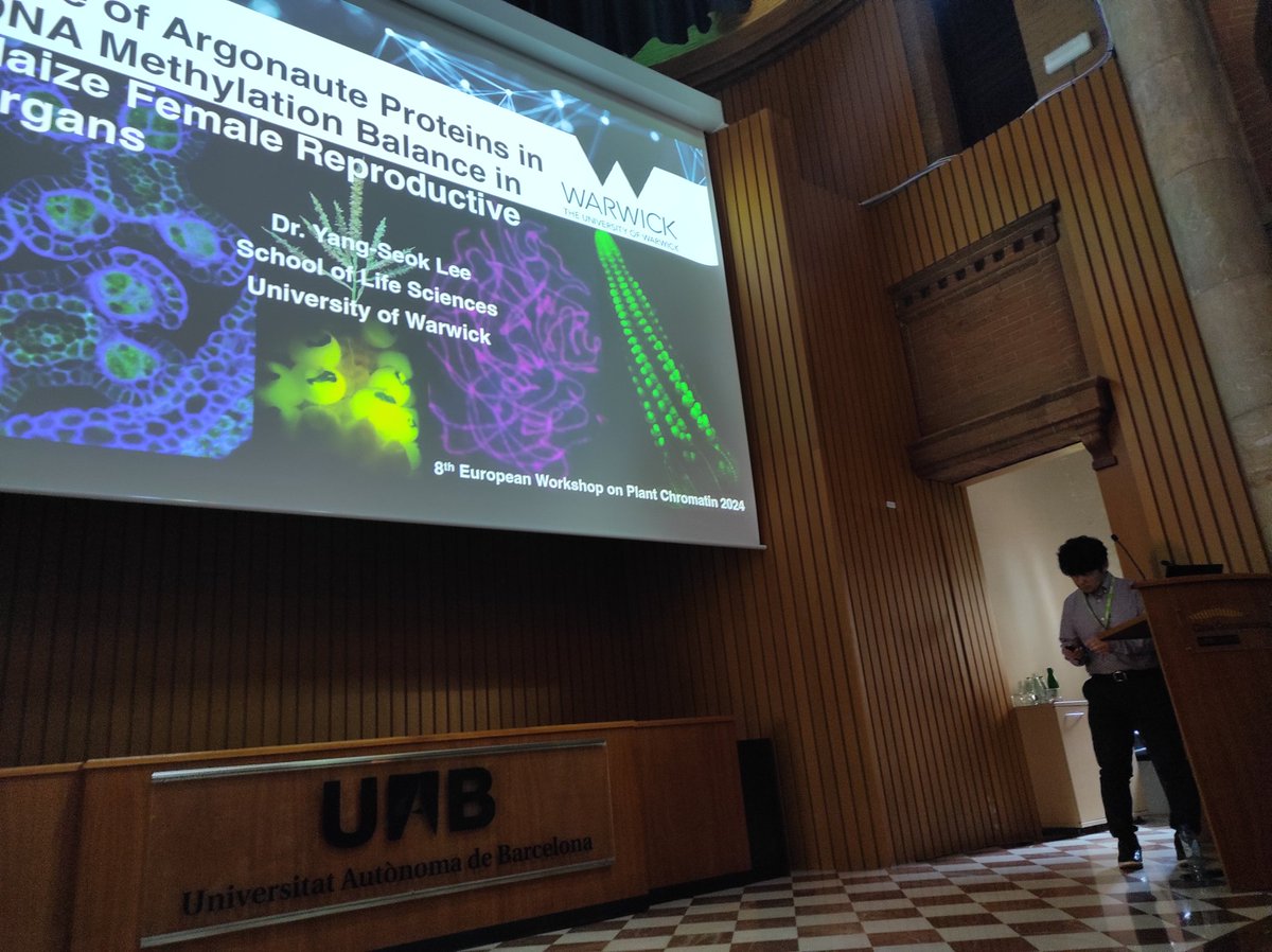 Yang-Seok Lee from @WarwickLifeSci explores the role of Argonaute proteins in balancing DNA methylation within maize female reproductive organs #PlantScience #EWPC2024